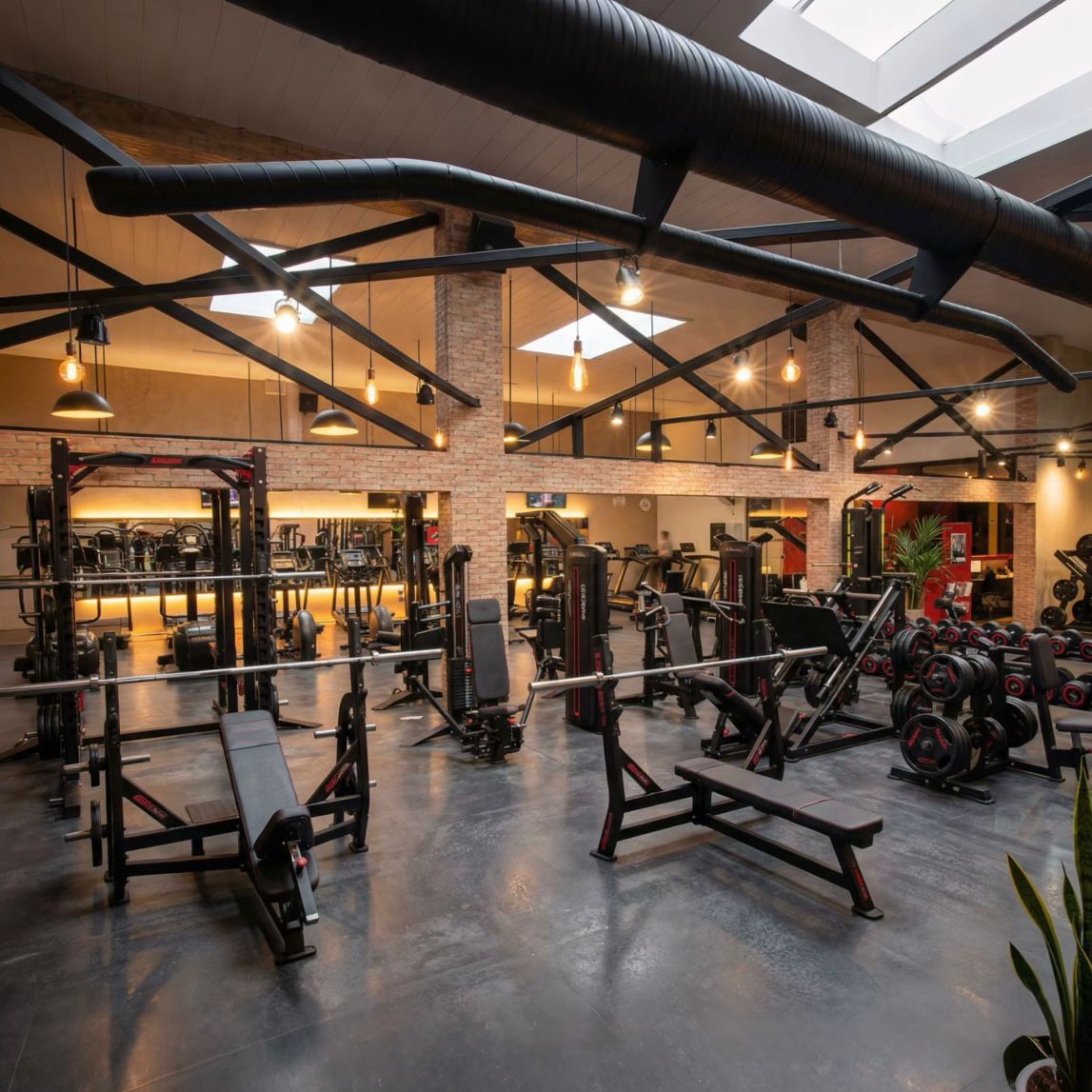 Strength & Muscle Training Space