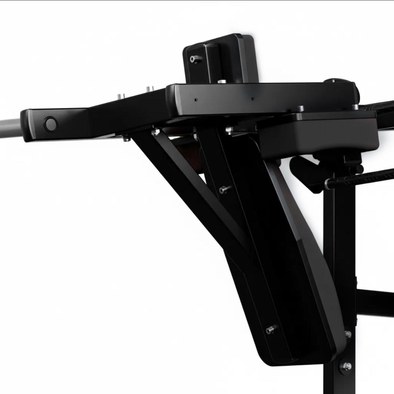 009 Pendulum Squat