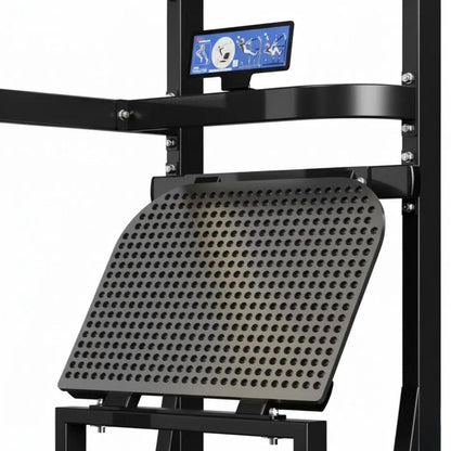 009 Pendulum Squat